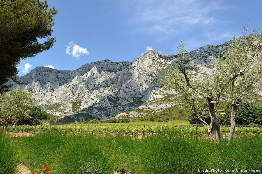 La montagne Sainte Victoire