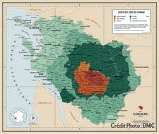 Carte des crus de Cognac