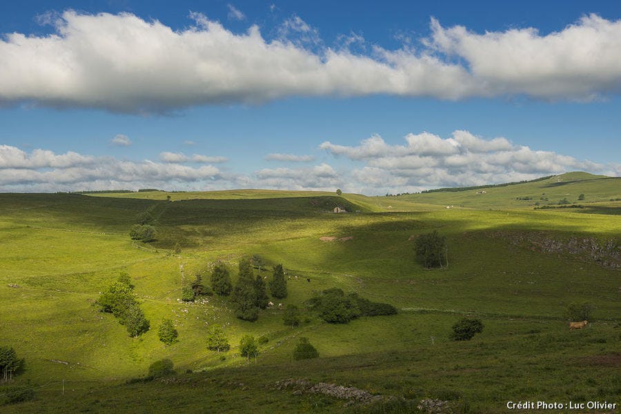 auvergne_selection_15_-_cezallier_lo.jpg