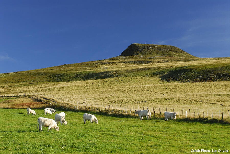 auvergne_selection_la_banne_dordanche_lo.jpg