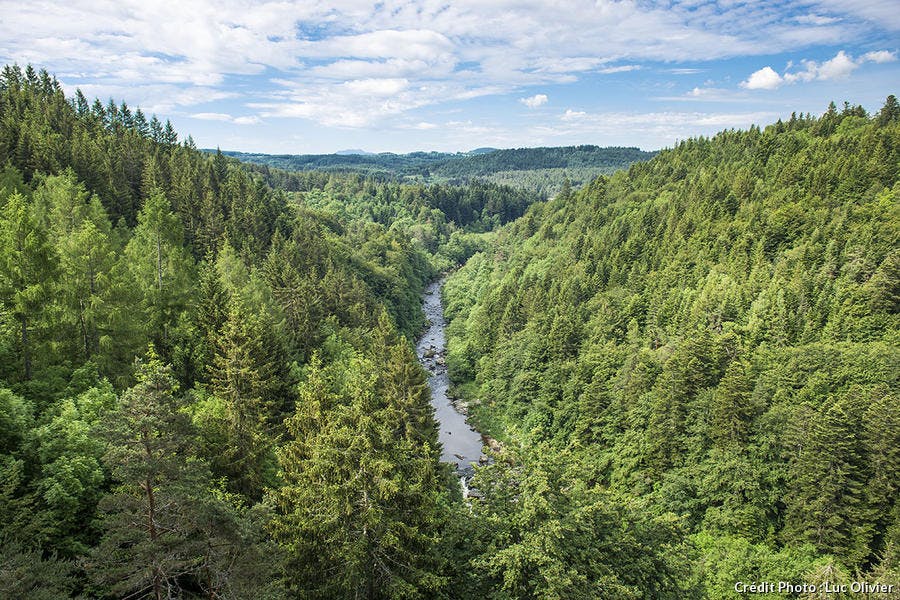 auvergne_selection_le_chambon-sur-lignon-022_lo.jpg