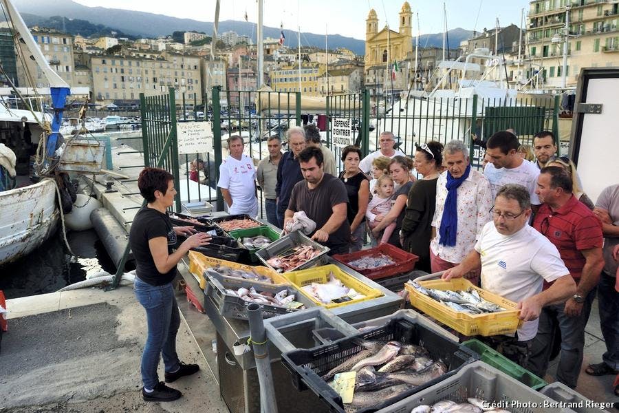 Corse-Bastia.jpg