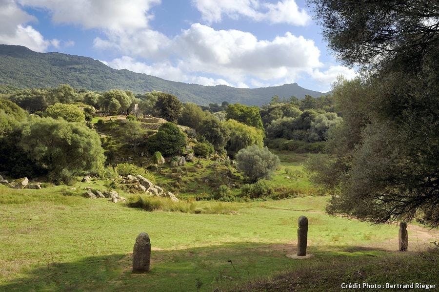 Corse-Filitosa.jpg
