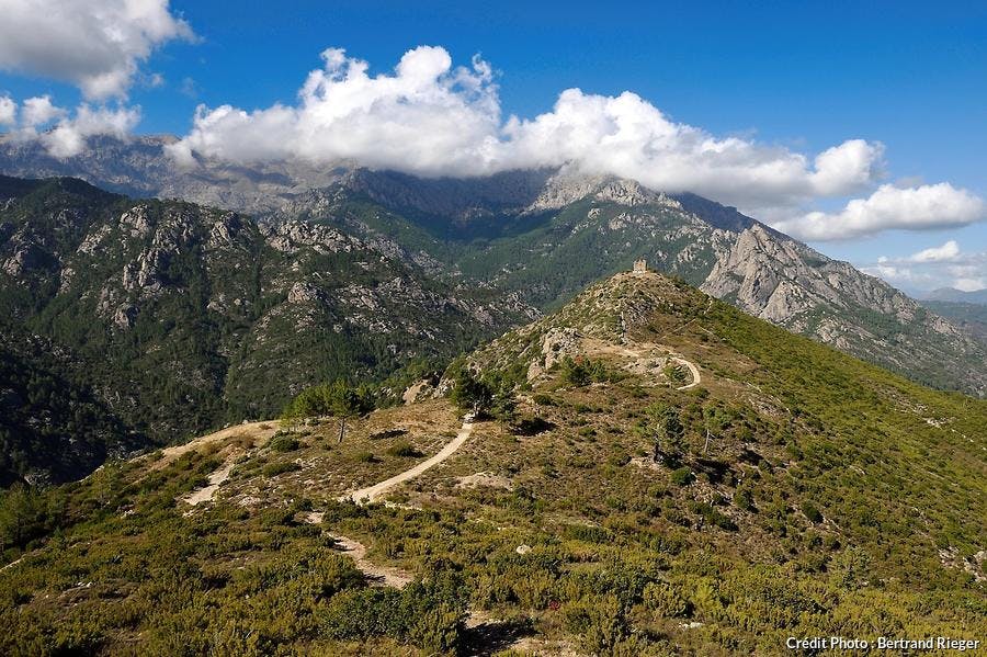 Le col de Vizzavona