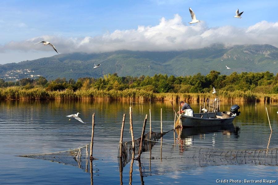 Corse-Biguglia-paysage_br.jpg