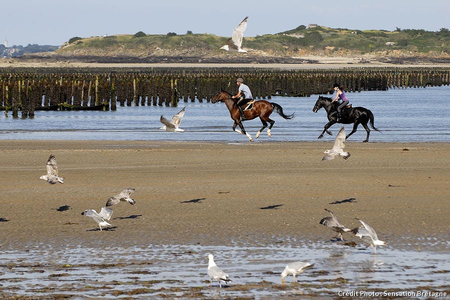 La plage des Quatre Vaulx