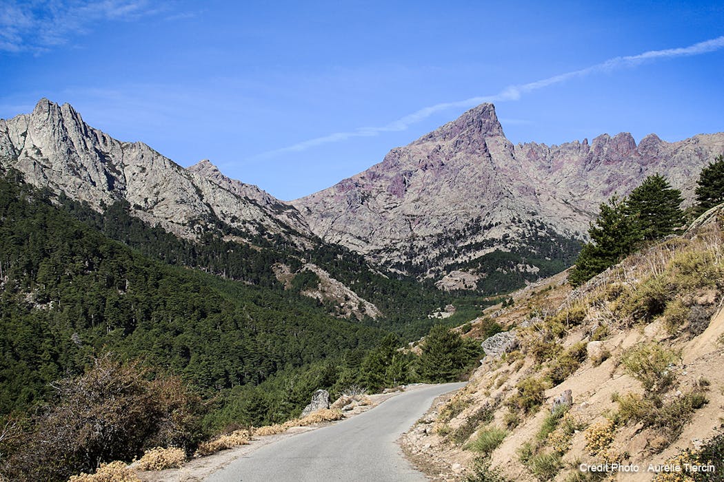 calasima_gr20.jpg