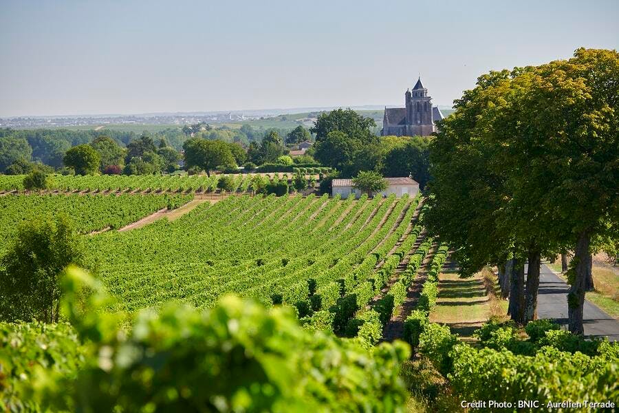 Vignobles de Coganc