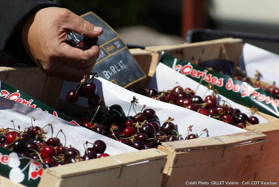 cerises-vaucluse