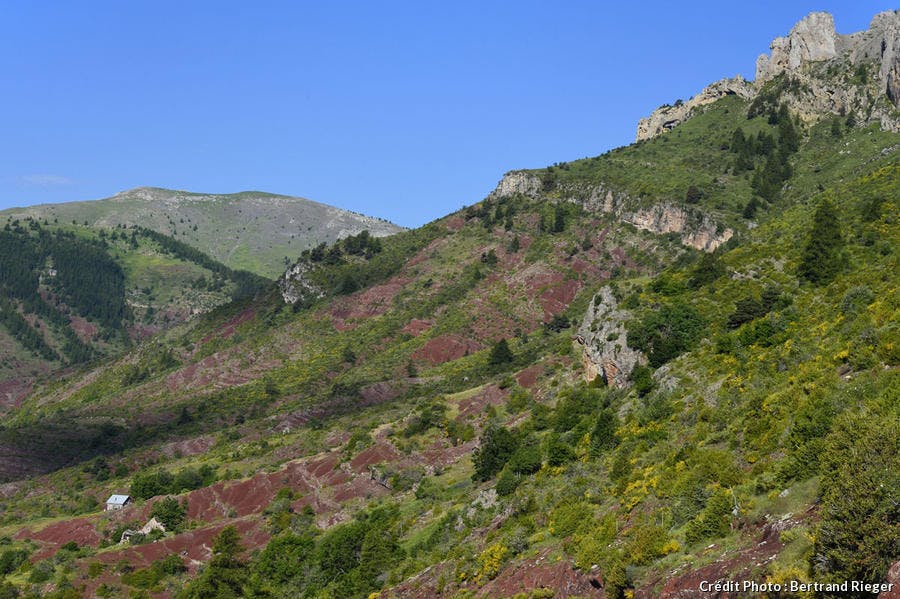 Les gorges du Cians