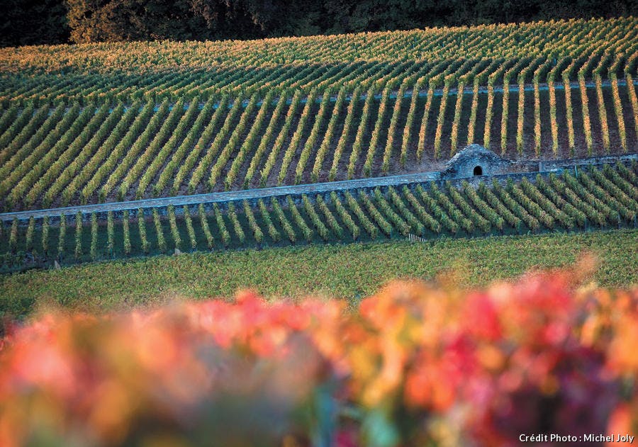 corton