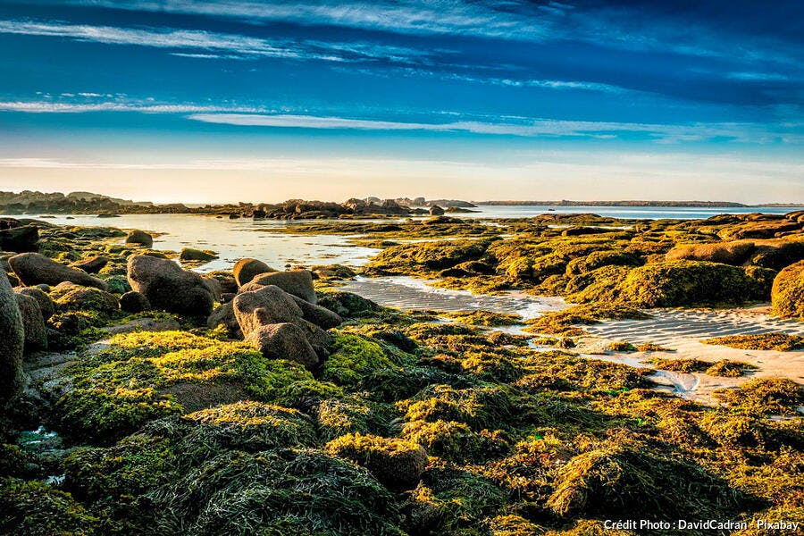 Paysage de mer et rochers