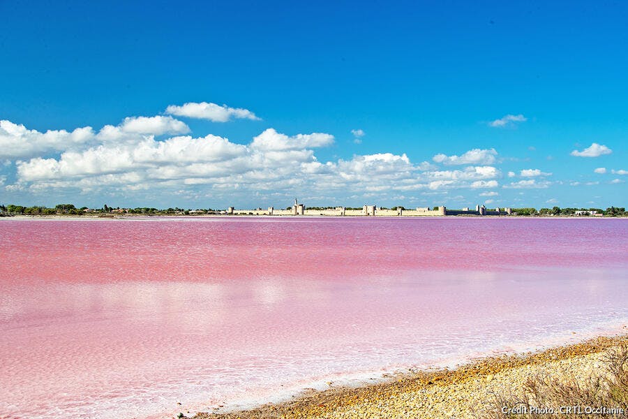 Les salins d'Aigues Mortes