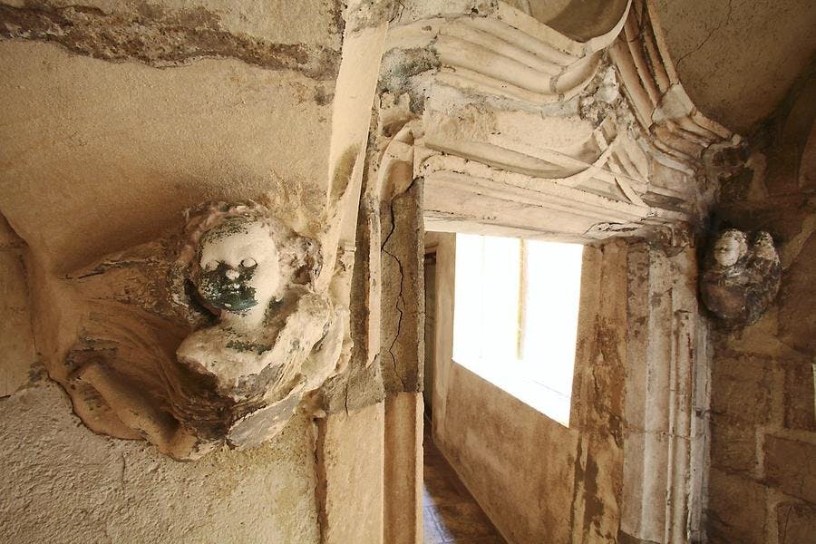 def-187-maconnais-img_9713.jpg