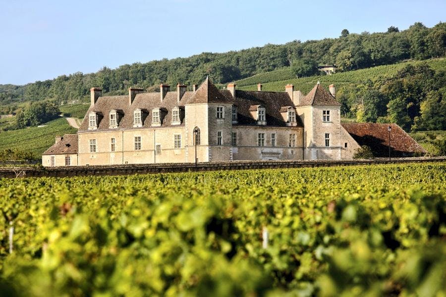 def-187-vin-nuits-vougeot-20.jpg