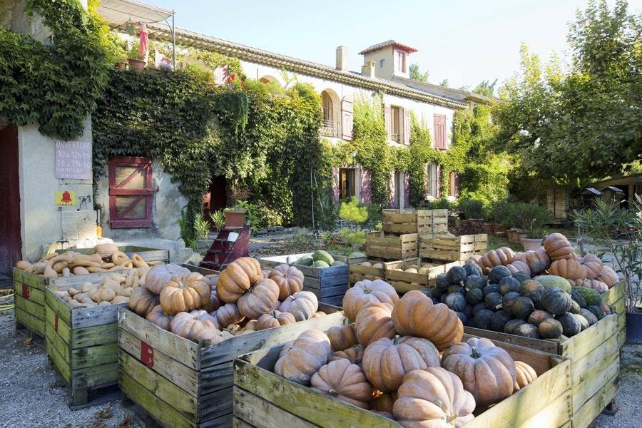 La ferme La Reboule
