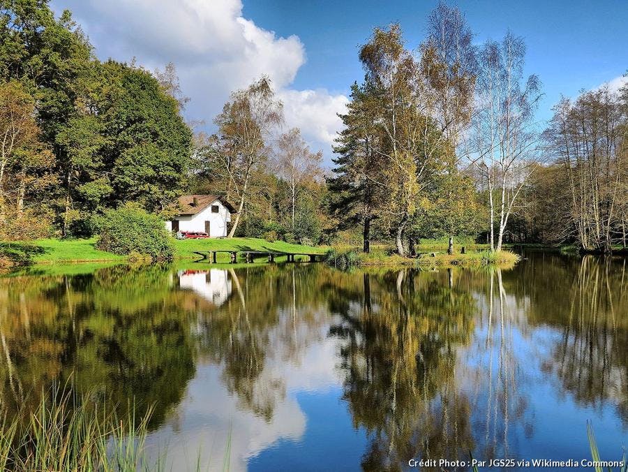 def-camp-franch-com-plateau_des_mille_etangs.jpg