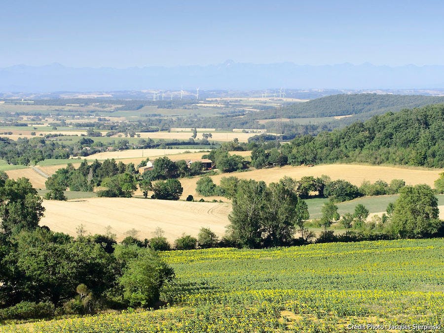 Campagne du Lauragais : champ de tournesol, blé et chaine des Pyrénées (Saint-Felix-Lauragais)