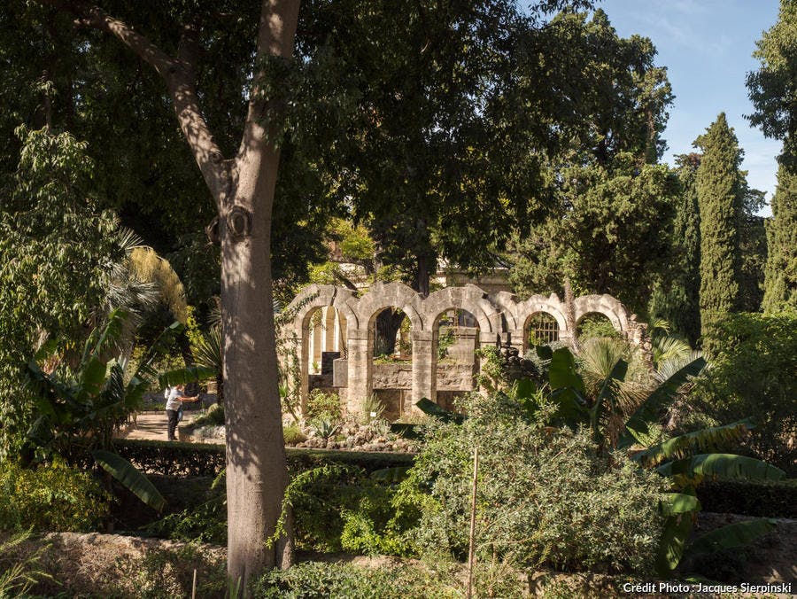 Montpellier, jardin des Plantes