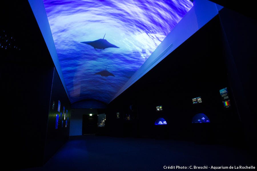 L'aquarium de la Rochelle