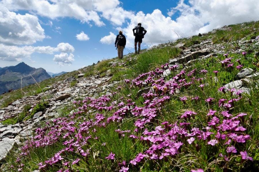 Randonnée dans le Mercantour