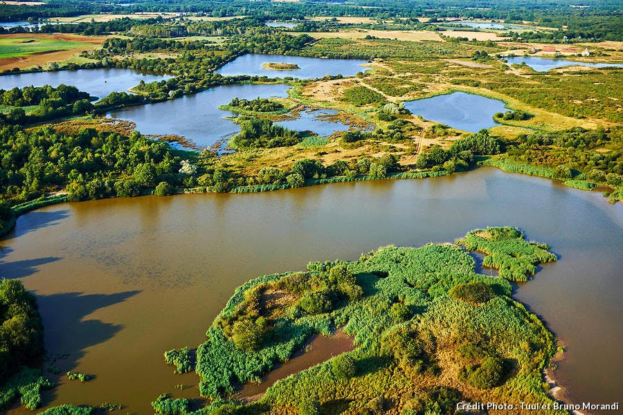 Etangs du parc naturel régional de la Brenne, dans le Berry