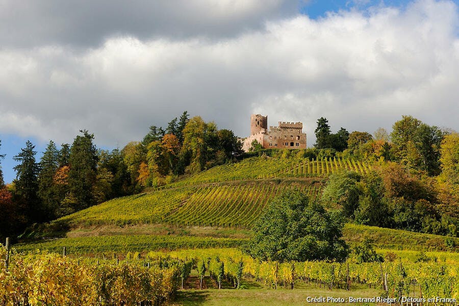 Le château de Kintzheim