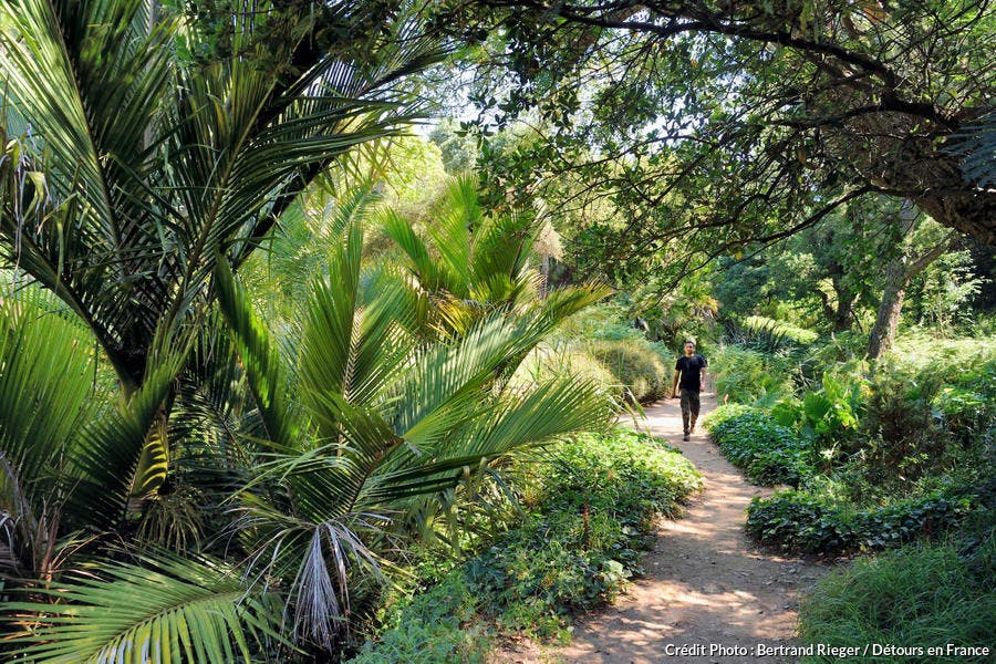 Domaine du Rayol, jardin des Méditerranées, le Jardin de Nouvelle-Zélande (Var, PACA)