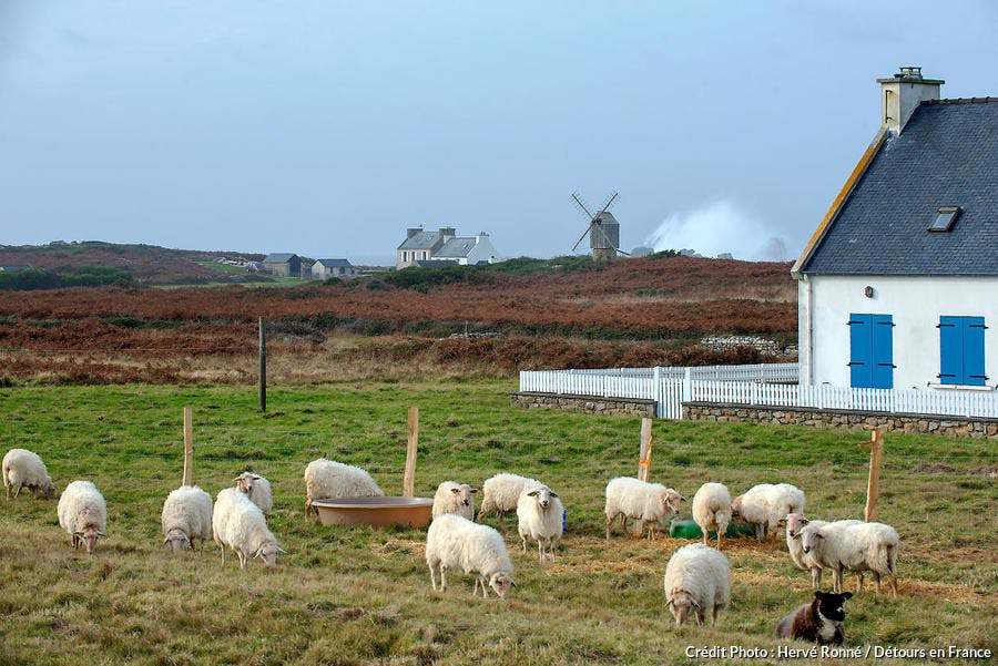 Le paysage de l'île d'Ouessant, dans le Finistère, Bretagne