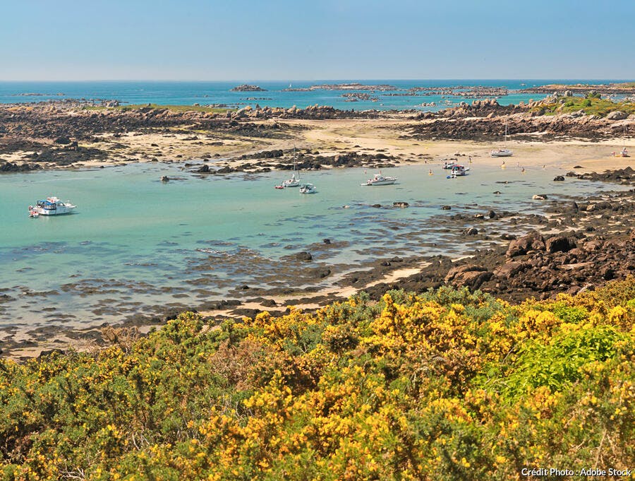 Îles Chausey