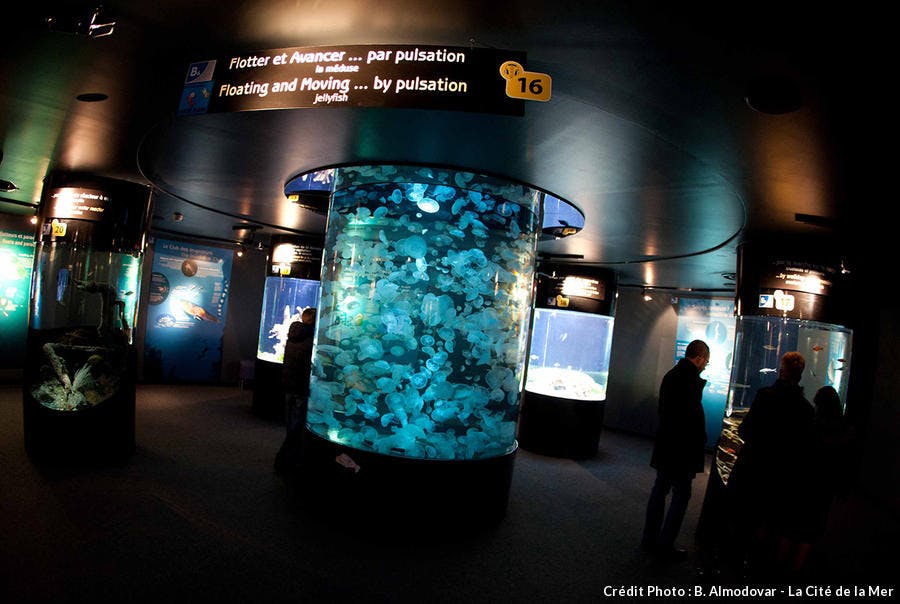 det_cite-mer-cherbourg_cite-mer.jpg