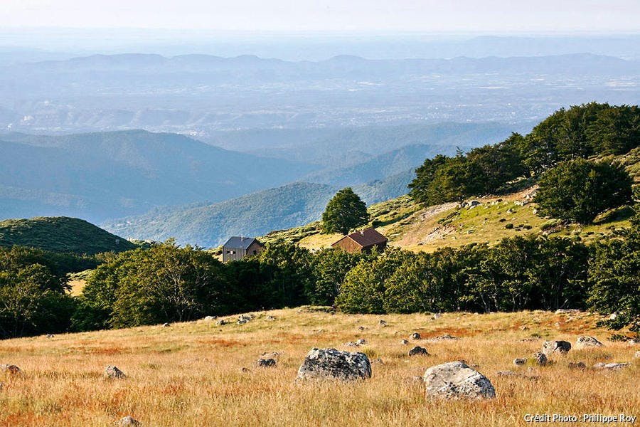 La crête du plateau du Tanargue