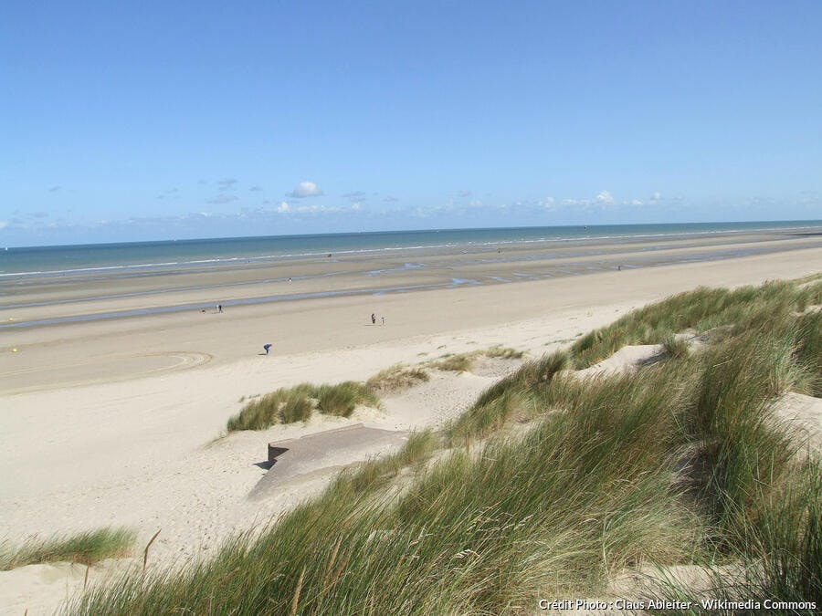 Plage du Perroquet