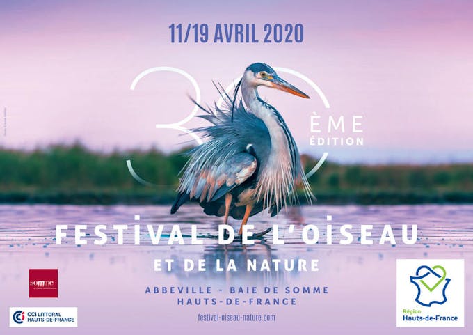 Affiche du 30e Festival de l'oiseau et de la nature 2020