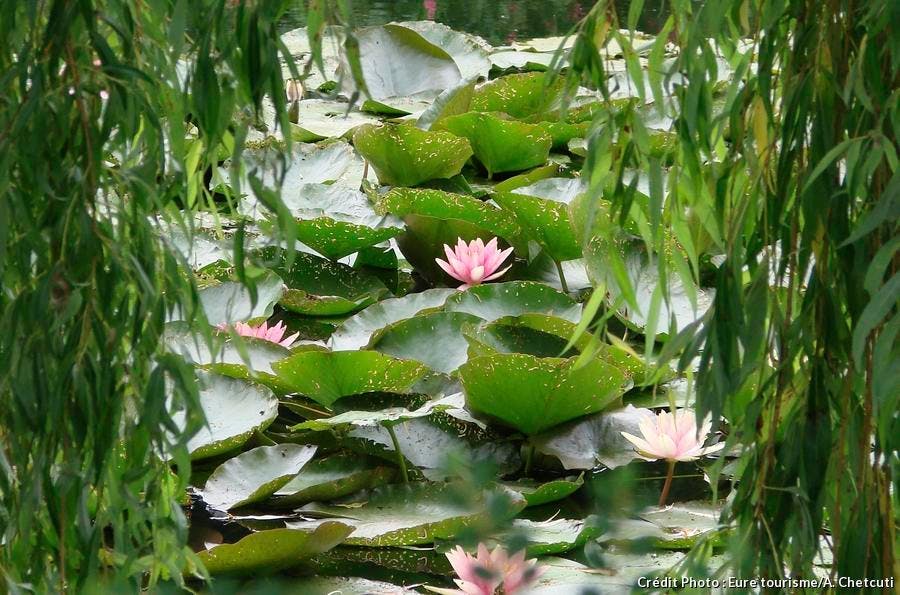 jardin d'eau