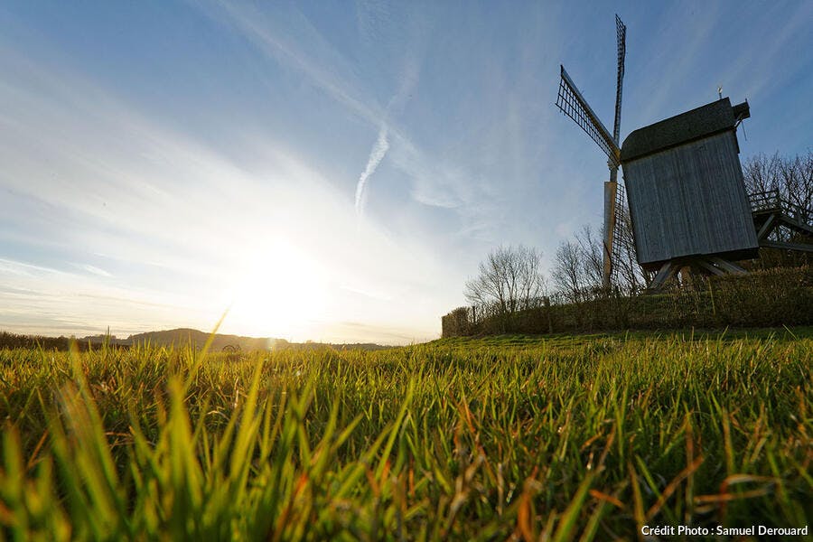 Moulin