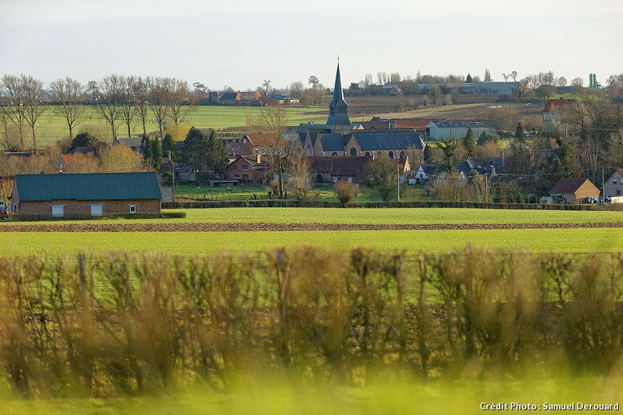 Panorama