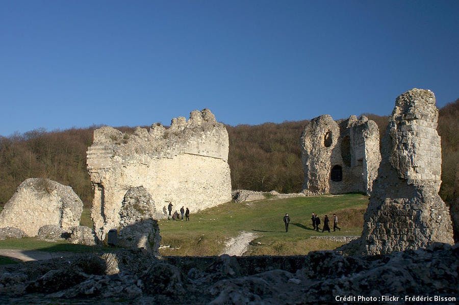 Basse-cour