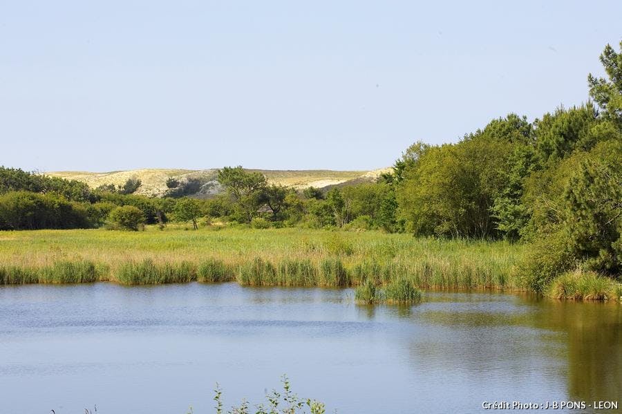 le marais de la Pipe