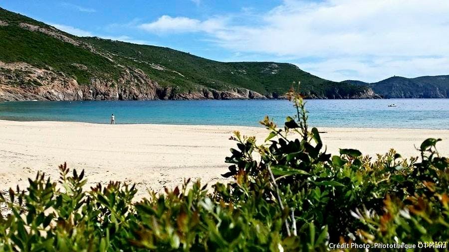 plage d'Arone
