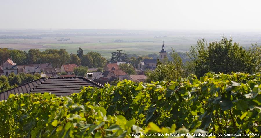 Le village de Verzy