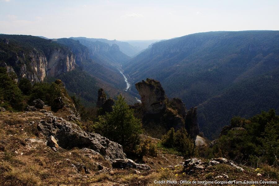 les gorges du Tarn