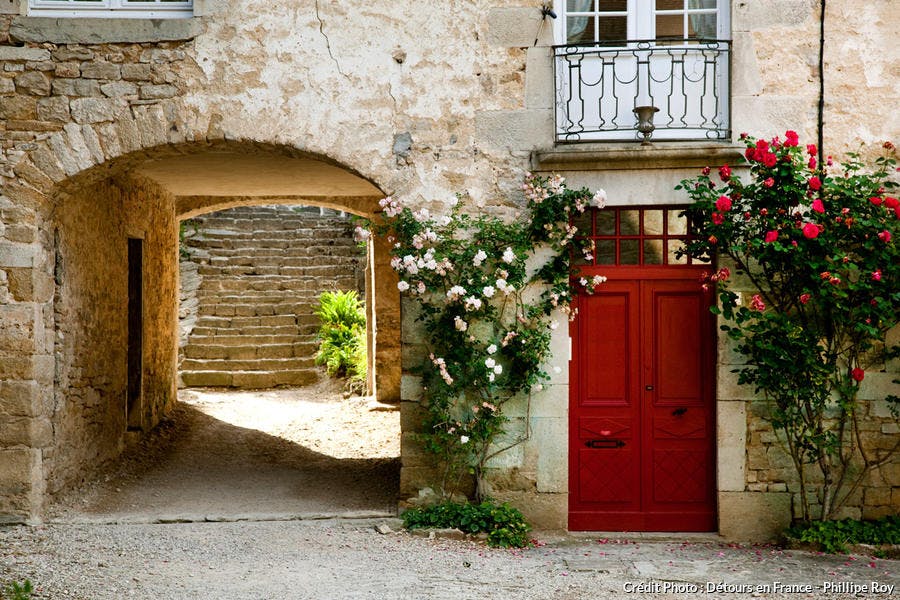Cour