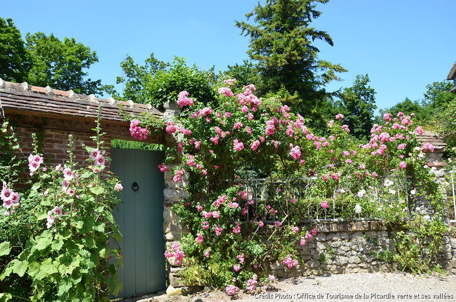 Face fleurie