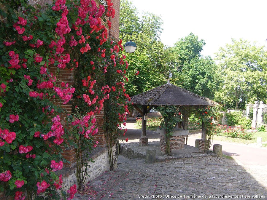 Jardin