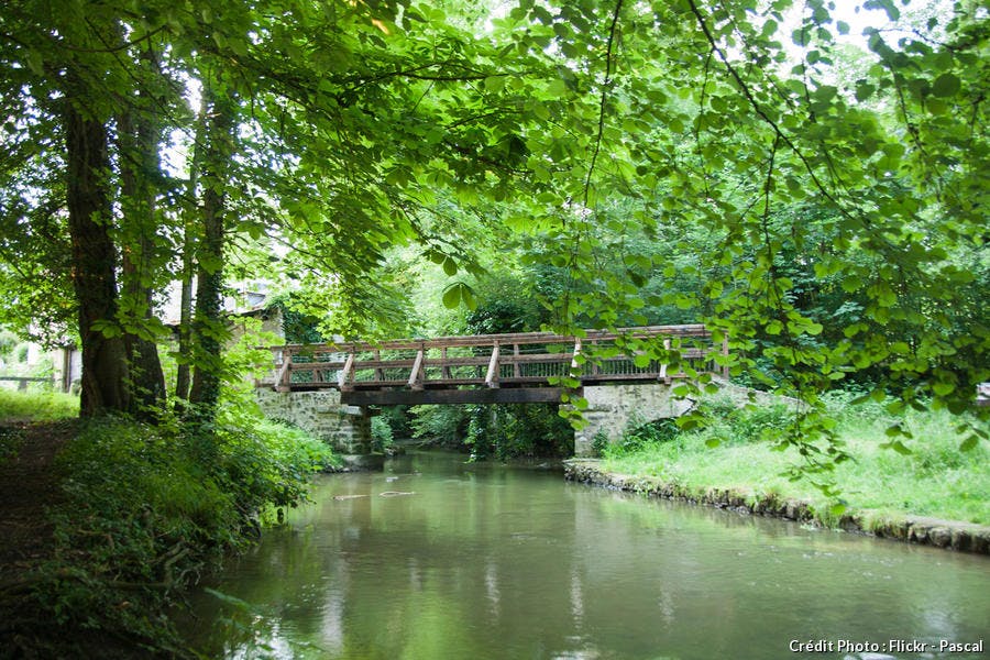 Pont