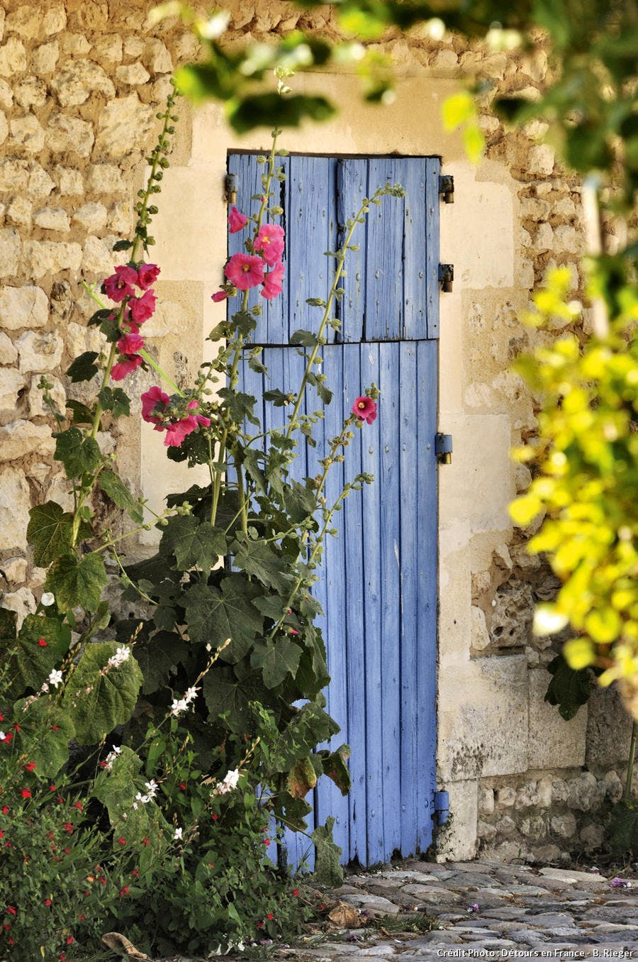 Fleurs
