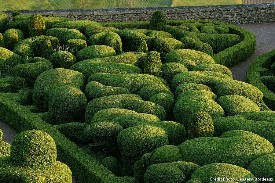 Jardin