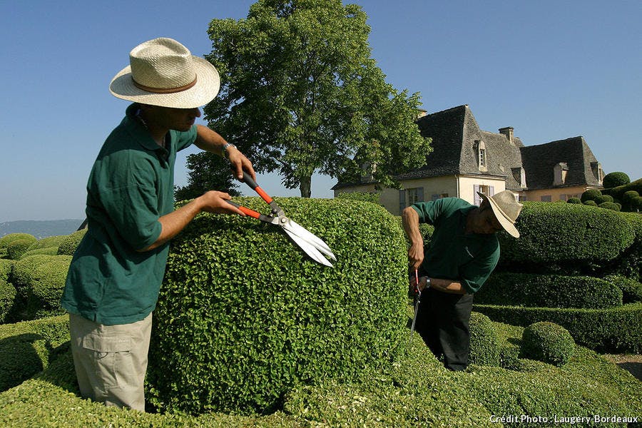 Jardinier