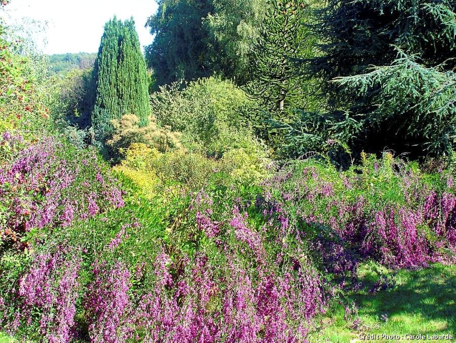 Jardin Lostange
